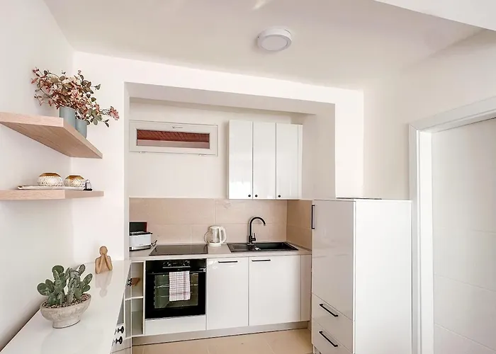 Apartment Cheyf Duck House In The Bascarsija Old Town *